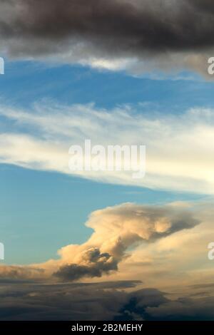 A vertical view of a dynamic sky featuring a large, sunlit cumulus cloud formation with golden highlights, set against a backdrop of deep blue sky and darker, heavy storm clouds above. Wispy cirrus Stock Photo