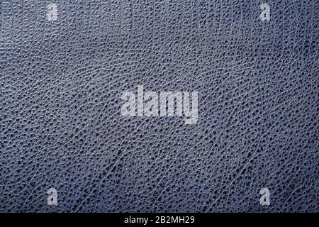 Blue textured leather reptiles, used texture for the background. Lizard or crocodile skin. Full screen, top view Stock Photo