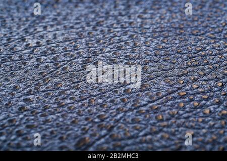 Blue textured leather reptiles, used texture for the background. Lizard or crocodile skin. Full screen, top view Stock Photo