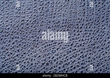 Blue textured leather reptiles, used texture for the background. Lizard or crocodile skin. Full screen, top view Stock Photo