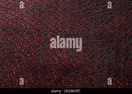 Red - black textured reptile skin, used texture for the background. Lizard or crocodile skin. Freshwater crocodile red bone skin texture background. . Stock Photo