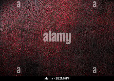 Red - black textured reptile skin, used texture for the background. Lizard or crocodile skin. Freshwater crocodile red bone skin texture background. . Stock Photo