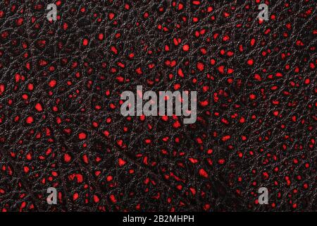 Red - black textured reptile skin, used texture for the background. Lizard or crocodile skin. Freshwater crocodile red bone skin texture background. . Stock Photo