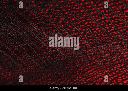 Red - black textured reptile skin, used texture for the background. Lizard or crocodile skin. Freshwater crocodile red bone skin texture background. . Stock Photo