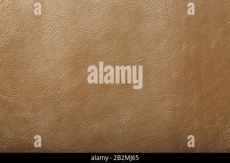 Leather texture beige as an abstract background, beautiful pattern texture Full screen, top view Stock Photo