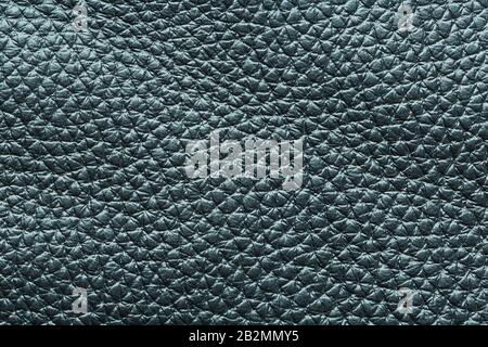 Green textured leather closeup. Full frame, close up. Macro Stock Photo