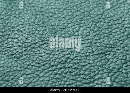 Green textured leather closeup. Full frame, close up. Macro Stock Photo