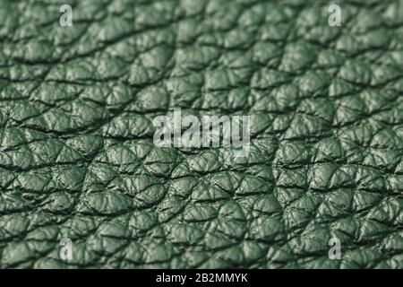 Green textured leather closeup. Full frame, close up. Macro Stock Photo