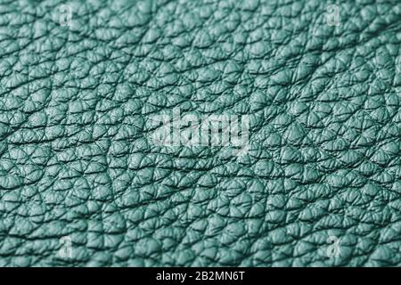Green textured leather closeup. Full frame, close up. Macro Stock Photo