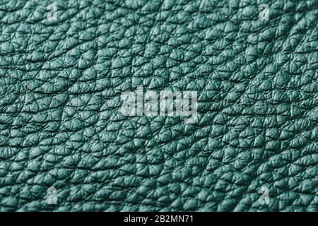 Green textured leather closeup. Full frame, close up. Macro Stock Photo