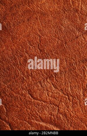 Brown Textured Leather Closeup. Full frame, close up. Macro Stock Photo