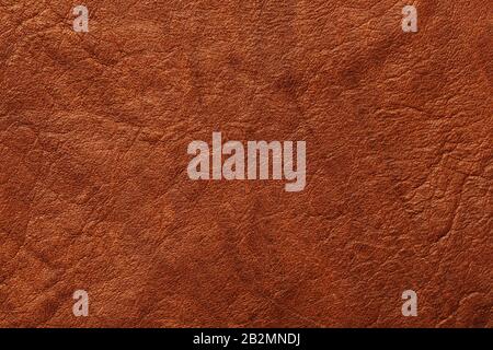 Brown Textured Leather Closeup. Full frame, close up. Macro Stock Photo