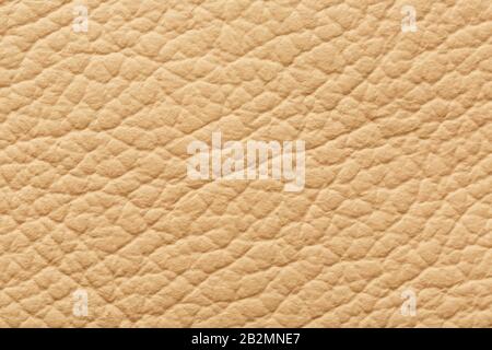 Textured beige leather closeup. Full frame, close up. MacroTexture of Genuine Leather cream color, background, surface. Stock Photo