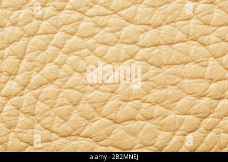 Textured beige leather closeup. Full frame, close up. MacroTexture of Genuine Leather cream color, background, surface. Stock Photo