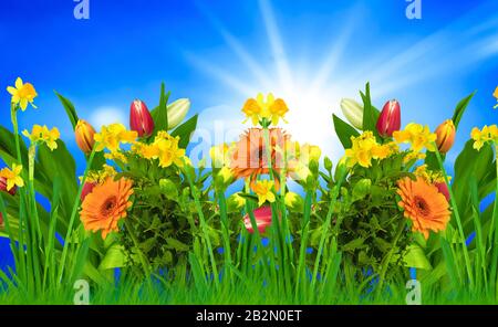 Lots of beautiful spring flowers against a blue sky with sun in background Stock Photo