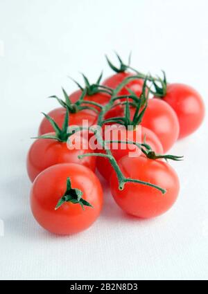cherry vine tomatoes on white background Stock Photo