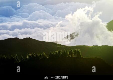 A landscape view of rolling green hills and mountain ridges partially shrouded in thick, textured clouds. The foreground features a dark, silhouetted hilltop with a line of coniferous trees catching Stock Photo