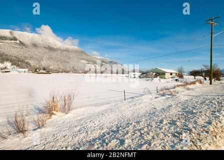 Winter on Nicomen Island, British Columbia, Canada Stock Photo