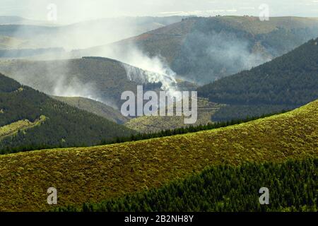 High Altitude Forest Deliberately Set To Flaming In Andes Highlands Stock Photo