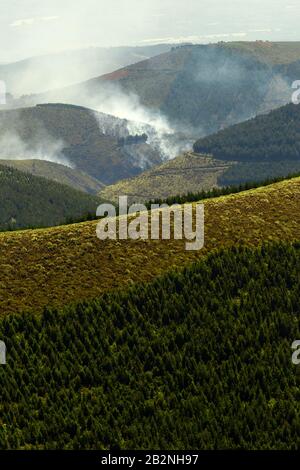 High Altitude Forest Deliberately Set To Fire In Andes Highlands Stock Photo