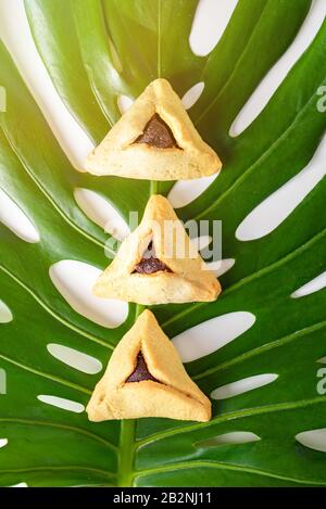 Group of variety triangular cookies Hamantaschen traditional meal for Jewish Holiday Purim on monstera leaf. Leaf plates to conserve the environment. Stock Photo