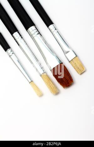 Four artists brushes isolated on a white background Stock Photo