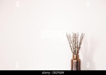 Twigs with buds in a vase against the white wall. Concept of early spring, March, nature awakening or anticipation of warm season Stock Photo