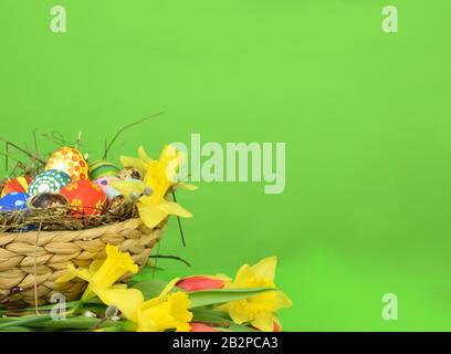 Happy Easter - painted eggs and daffodils on colored background Stock Photo