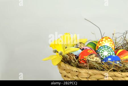 Happy Easter - painted eggs and daffodils on colored background Stock Photo