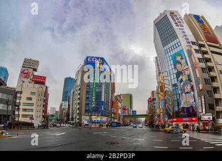 A panorama picture of the colorful facades of the Akihabara district (Tokyo). Stock Photo