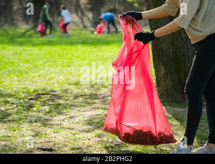 Man and woman volunteer wearing picking up trash and plastic waste in public park. Young people wearing gloves and putting litter into red plastic bag Stock Photo