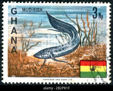 GHANA - CIRCA 1967: A stamp printed in Ghana, depicted the African Lungfish (Protopterus annectens), circa 1967 Stock Photo