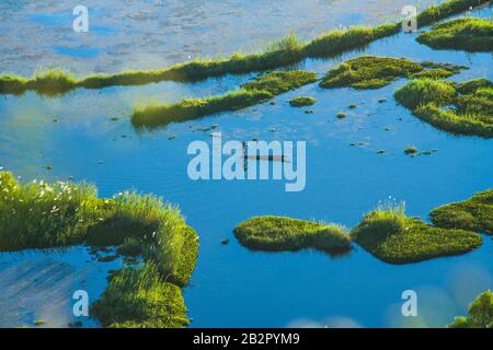 loktak lake manipur Stock Photo