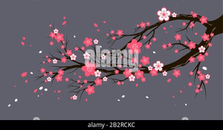 Seasonal cherry tree with flowers Stock Vector
