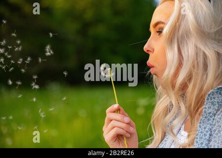 Closeup Of Young Woman Blowing Dandelion Seeds Stock Photo