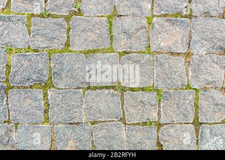 grey stone background from old square paver bricks and green grass between them for designs Stock Photo