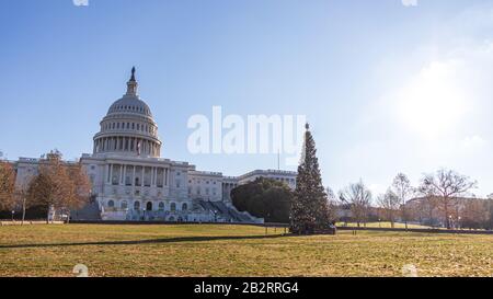 Christmas Tree out-front of the US Capitol Building as the sun shine down on clear afternoon in D.C. Stock Photo
