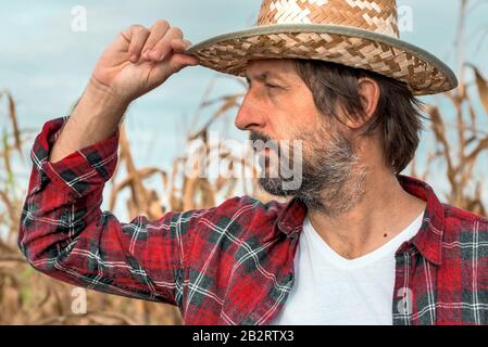Portrait of corn farmer in ripe maize crop field wearing straw hat and ...