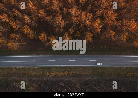Traffic on the road through autumnal aspen tree forest, top view aerial photography from drone pov Stock Photo