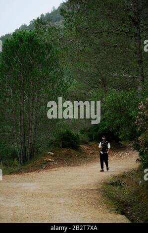 Man walking on a dirt road in the middle of the forest/ Abstract imagery for book covers Stock Photo