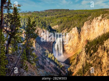Lower Falls of the Yellowstone from Artist Point, vertical Stock Photo