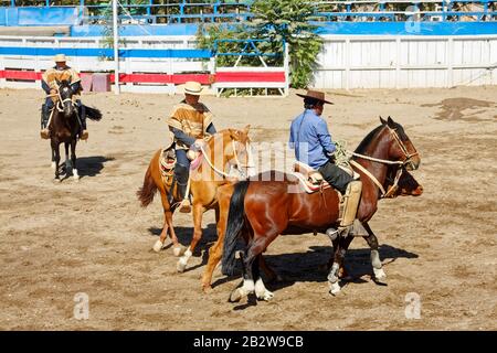 Spurs and chamanto Chile Stock Photo - Alamy