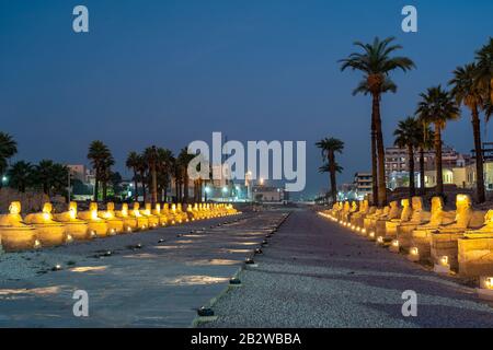 Sphinx alley leading towards the Luxor Temple in Egypt Stock Photo
