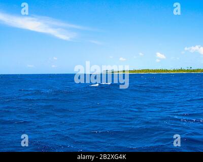 Cocos Keeling Islands, Direction Island seen from North, Australia territory, Indian Ocean. Stock Photo