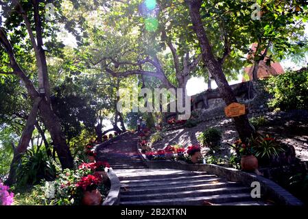 NHA TRANG, VIETNAM – 28 FEBRUARY 2020 : Stairway to the Ponagar Tower (Thap Ba Po Nagar) Stock Photo