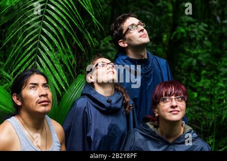 group of wildlife animals in the jungle together Stock Photo - Alamy
