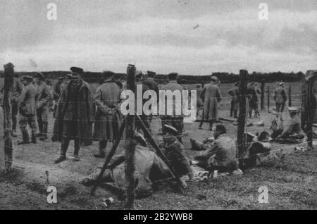 Gefangengenommene deutsche Offiziere im Joffre-Lager. Stock Photo