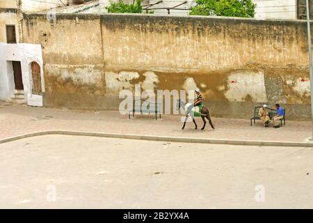 Young man rides a donkey past two men talking on a bench on a street in the ancient medina, Fes el Bali, in Fez, Morocco. Stock Photo