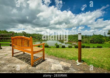 A bench at the popular tea plantation Bois Cheri in the foothills. Mauritius Stock Photo