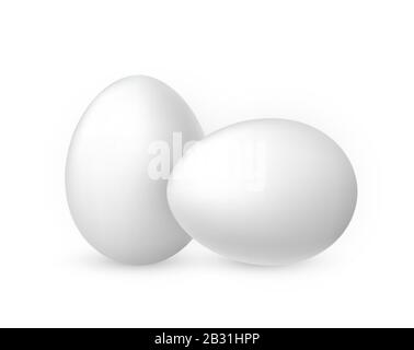 White egg on white background. Design template. Vector illustration. Stock Vector